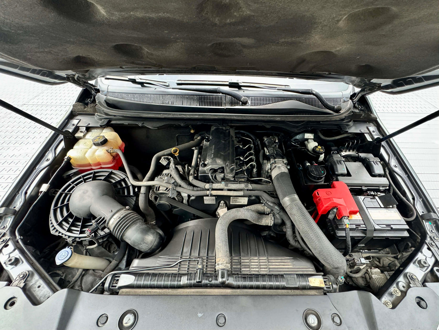 2019 Ford Ranger FX4 4x2 2.2, Automatic, Diesel