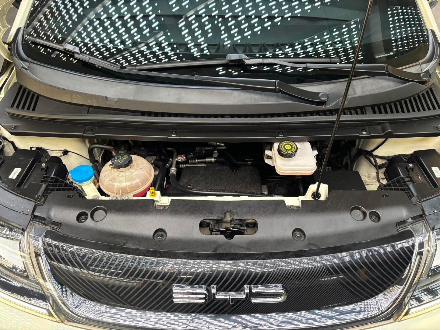 2023 BYD Dolphin EV, Automatic