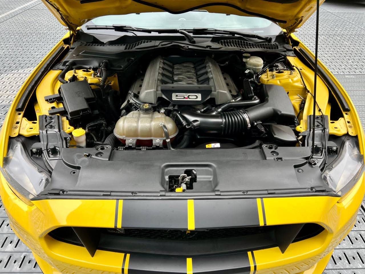 2015 Ford Mustang 5.0 GT V8, Automatic, Gas
