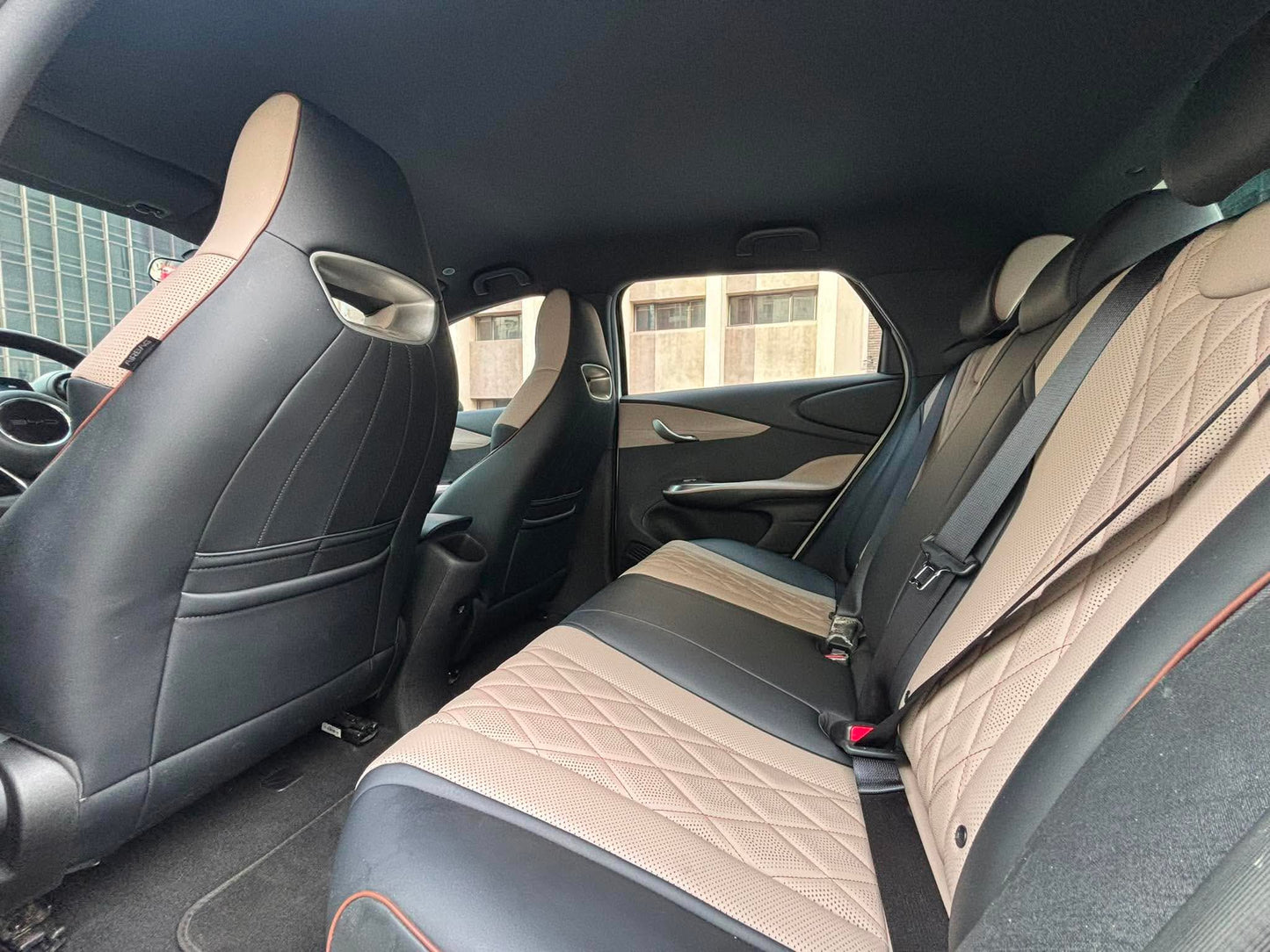 2023 BYD Dolphin EV, Automatic