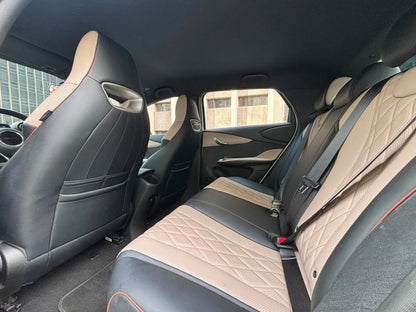 2023 BYD Dolphin EV, Automatic