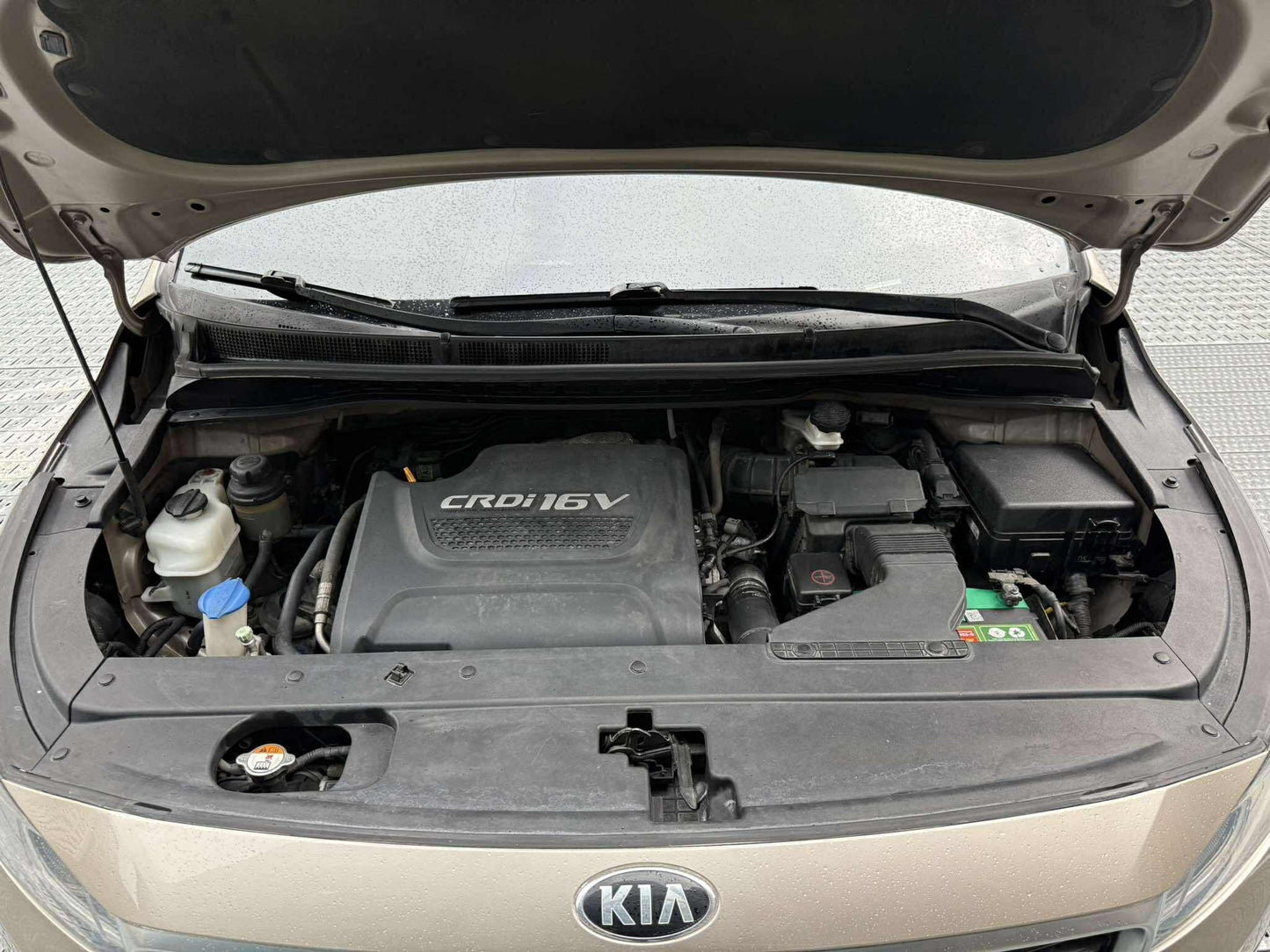 2016 Kia Grand Carnival EX 2.2, Automatic, Diesel