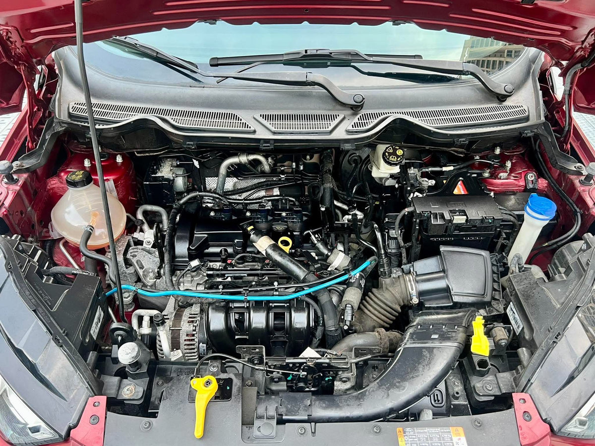 2021 Ford Ecosport, Manual, Gas