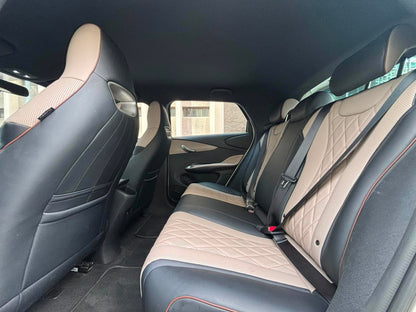 2023 BYD Dolphin EV, Automatic