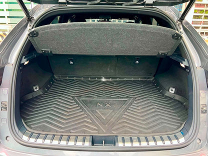 2019 Lexus NX300 F Sport 2.0, Automatic, Gas