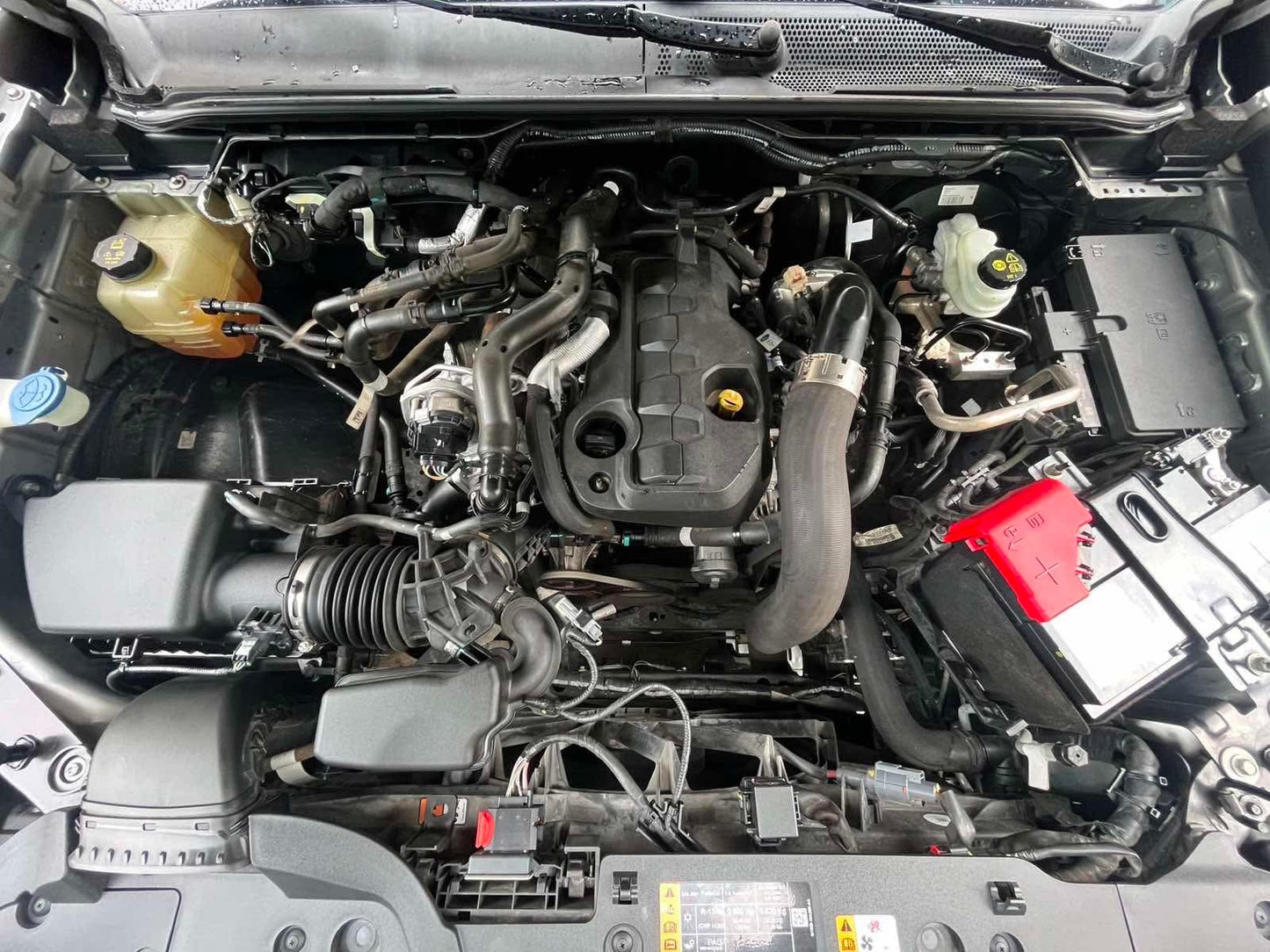 2023  Ford Ranger 2.0 XLS, Automatic, Diesel
